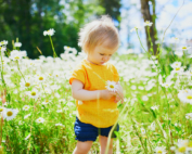 child in field with flowers