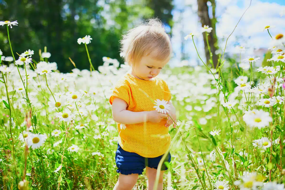child in field with flowers